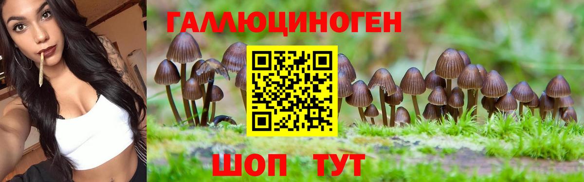 Псилоцибиновые грибы MAGIC MUSHROOMS Урюпинск