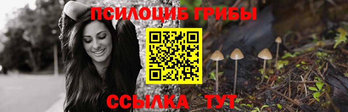 Галлюциногенные грибы Magic Shrooms  Псилоцибиновые грибы прущие грибы  Вход с VPN  Урюпинск 